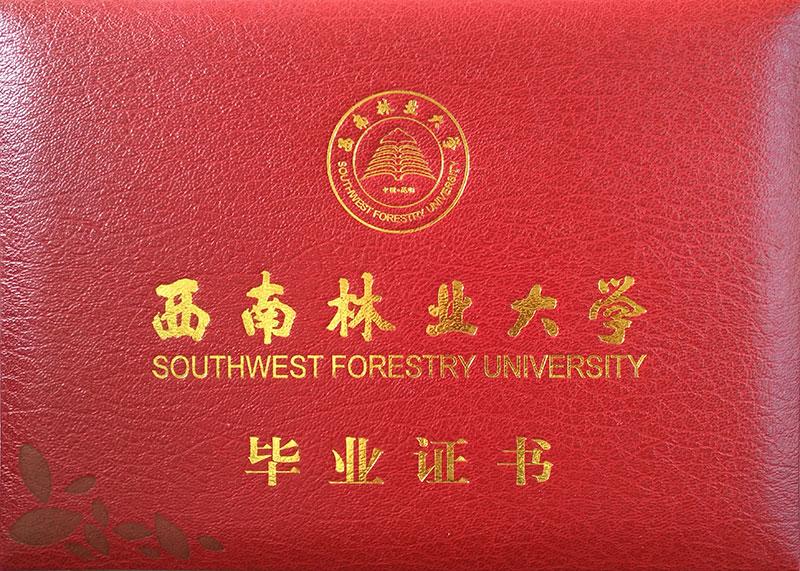 西南林业大学（成人高考）毕业证书样本